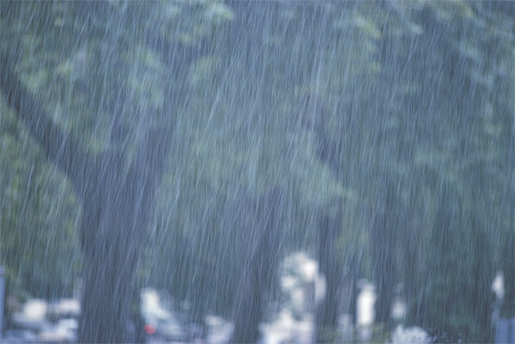Rain