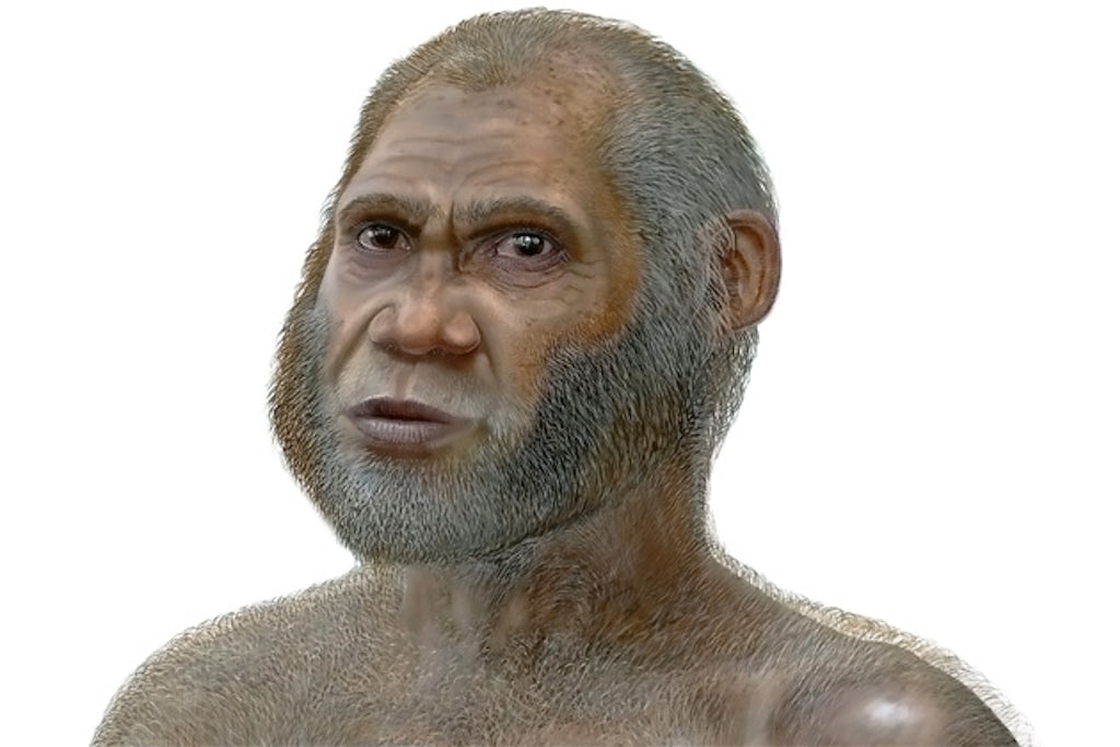 Prehistoric human