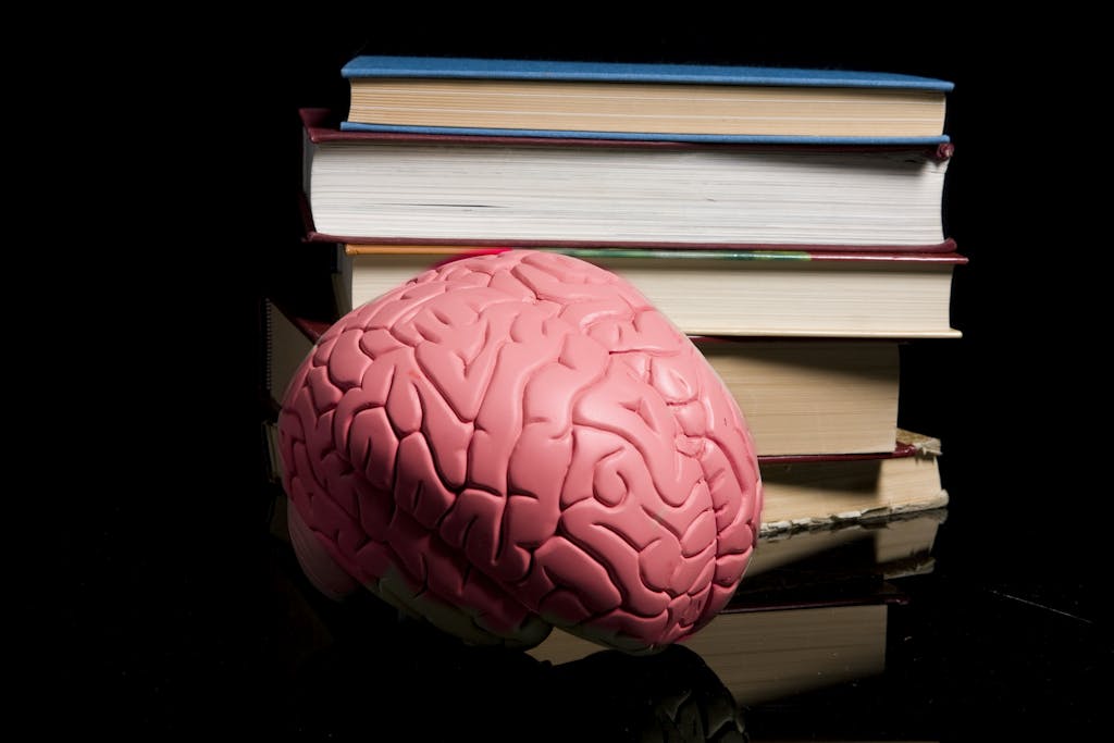 Brain and books
