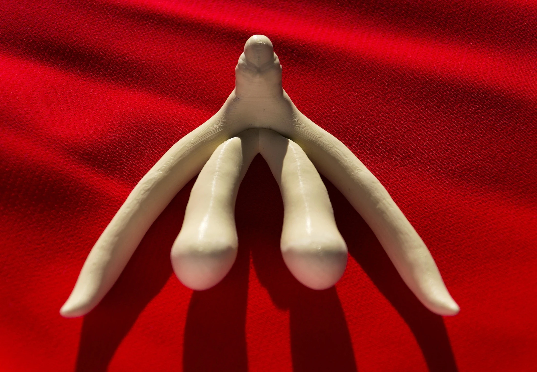 12 Feiten Over De Clitoris Wibnet nl 12-feiten-over-de-clitoris-wibnet-nl