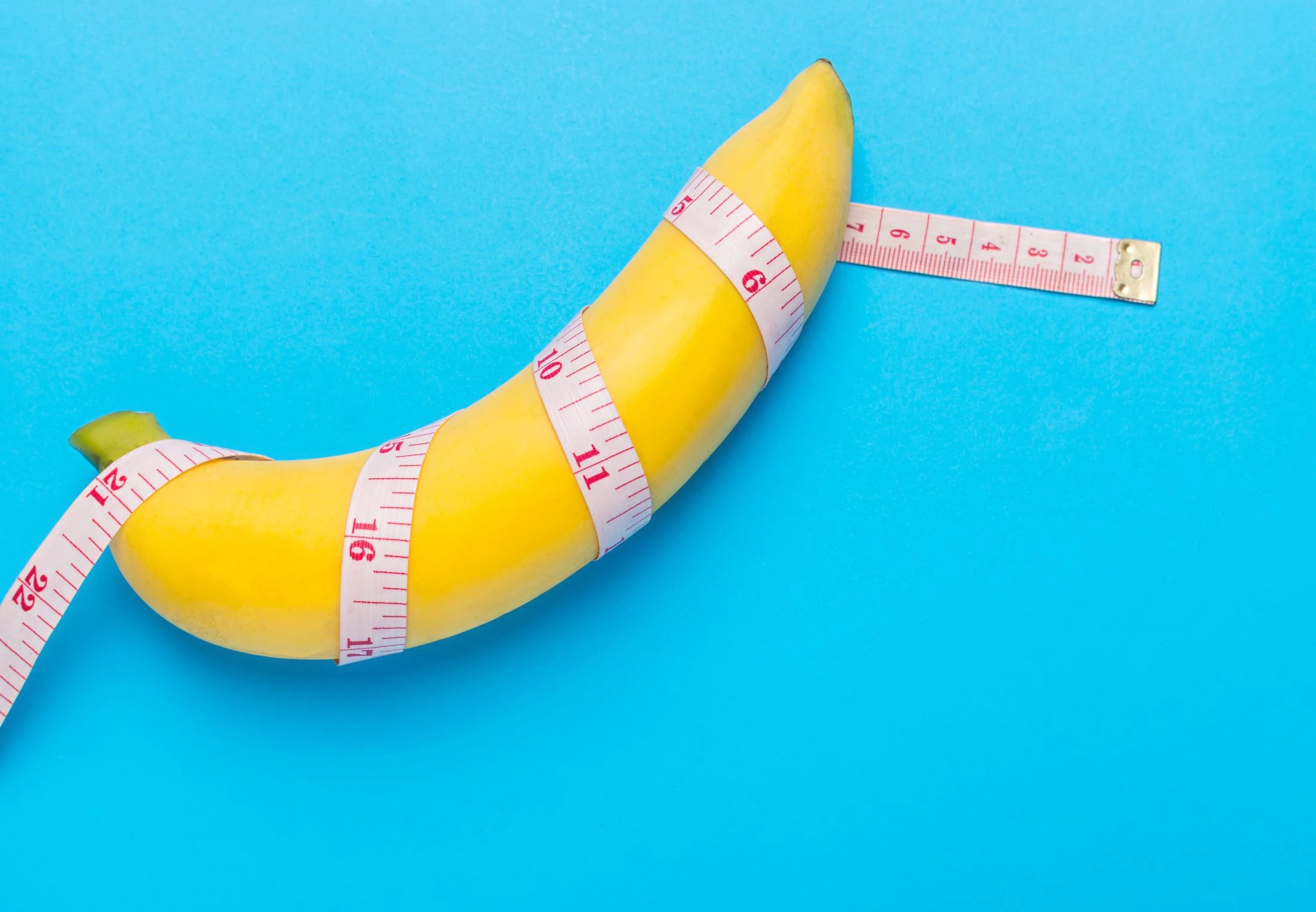 ’s Werelds grootste penis: Zo groot is de gemiddelde penis | wibnet.nl