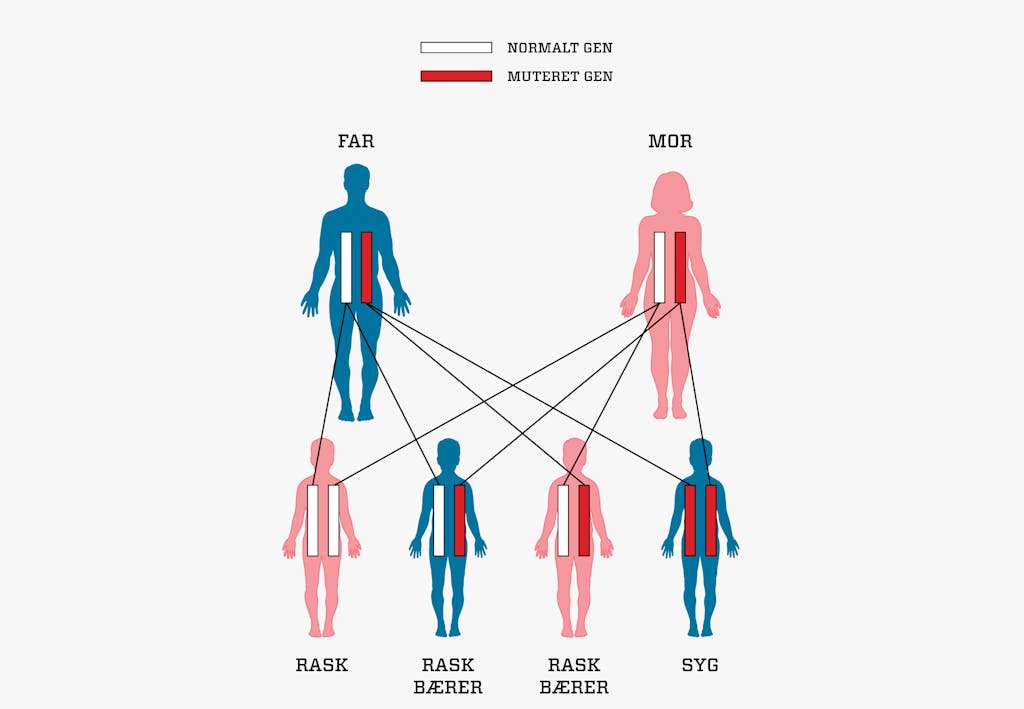 Scientists: You are the result of inbreeding | scienceillustrated.com