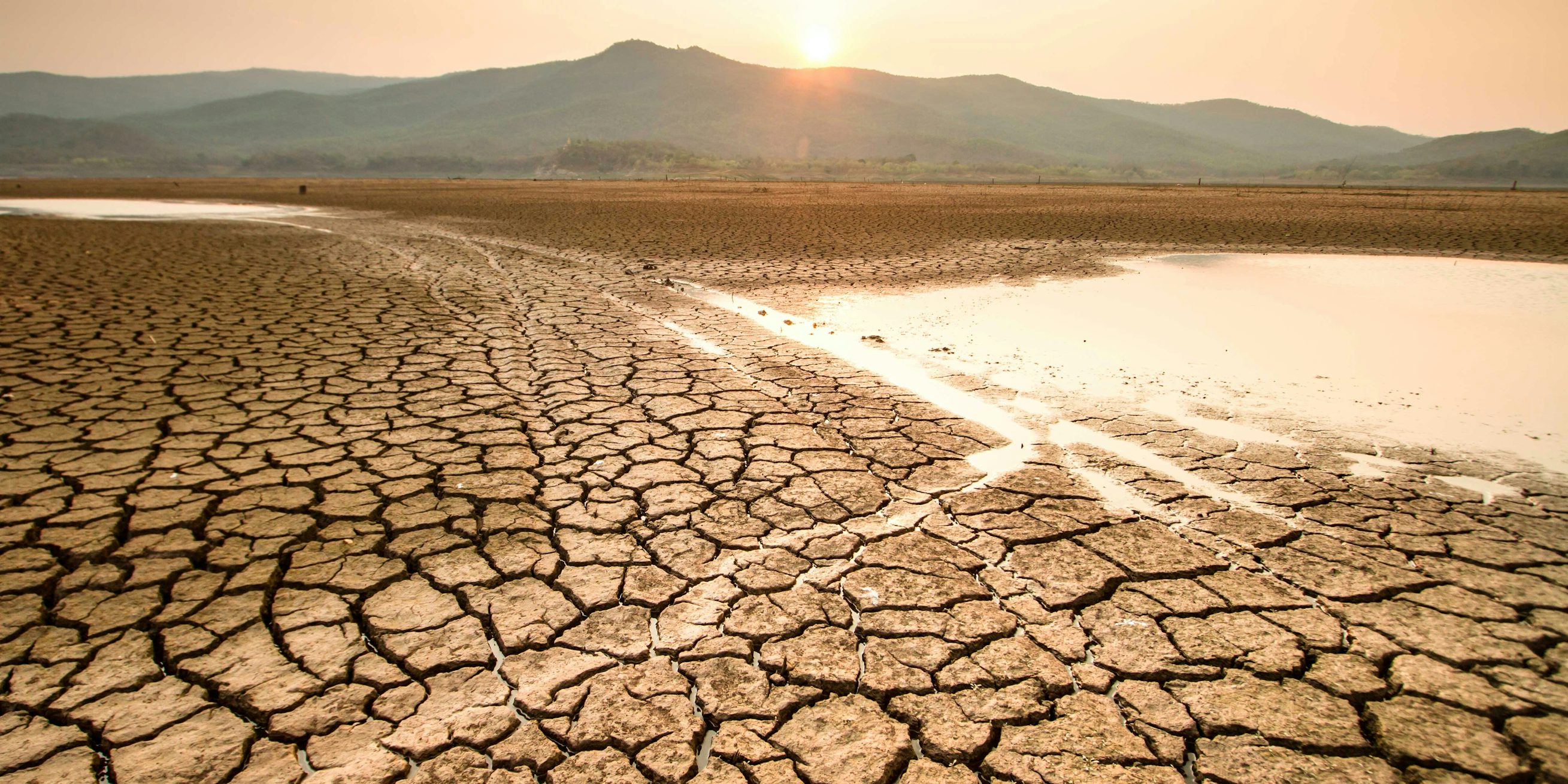 Opwarming van de aarde - wat is het? | wibnet.nl