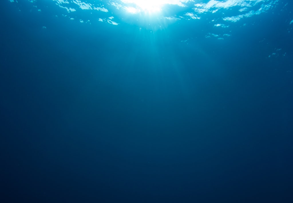 Havet_Under_havsytan Havet – Under havsytan