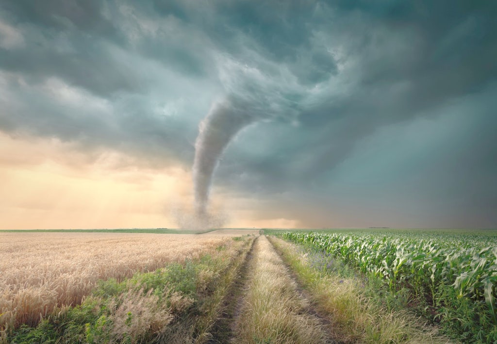 tornado3 tornado på en åker
