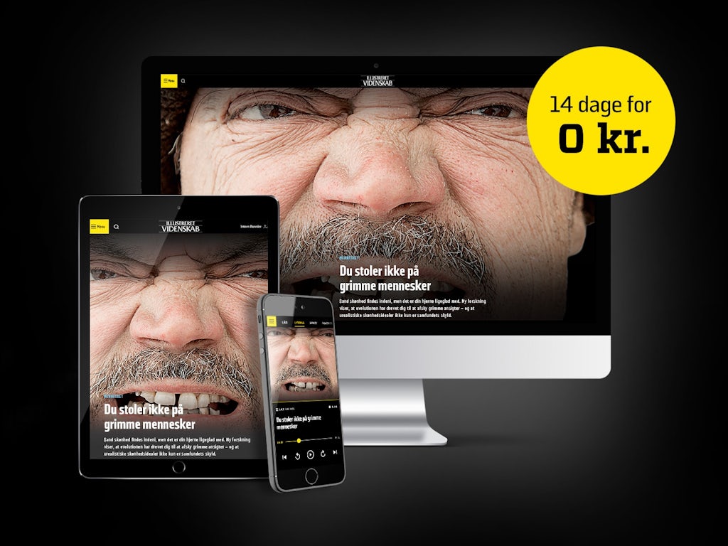 forskere-det-her-g-r-dig-smuk-illvid-dk