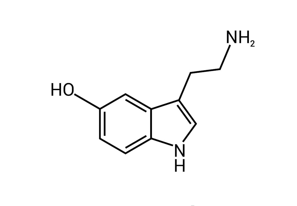 Serotoniini - mitä se tekee elimistössä? 