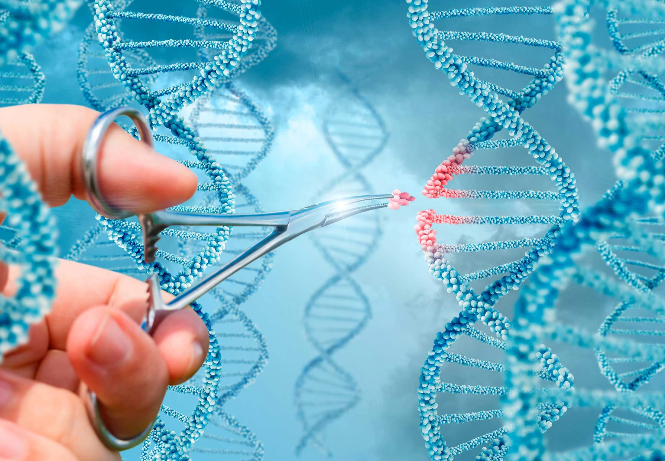 Epigenetica: Je levensstijl drukt een blijvend stempel op je genen ...