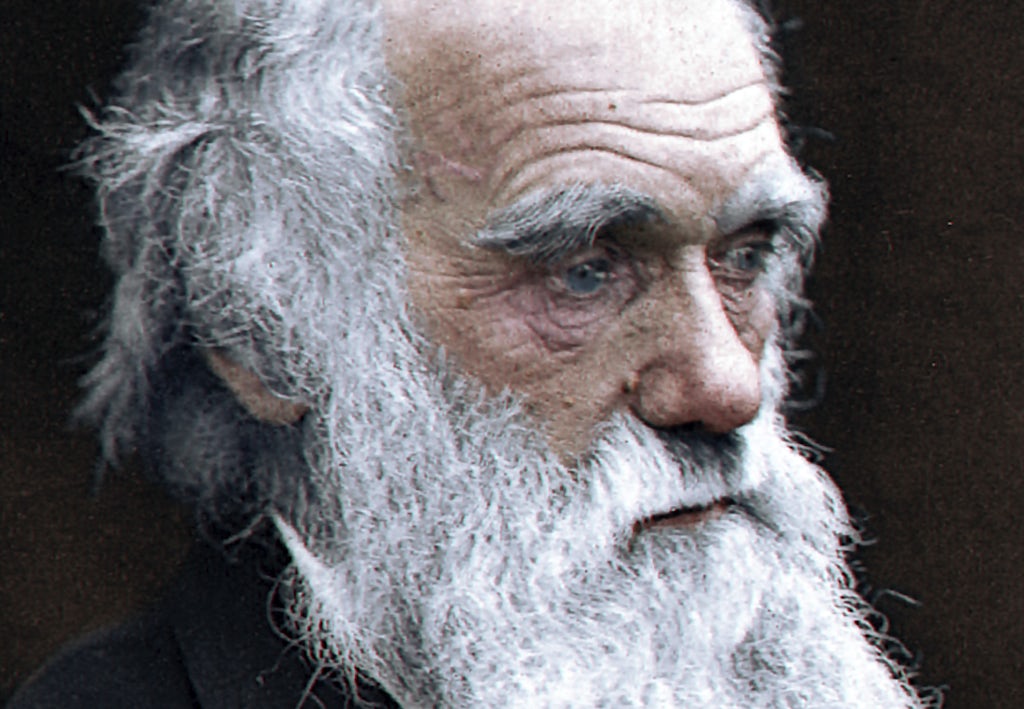 Doorbraak: Onderzoekers vinden eerste dier op aarde | wibnet.nl