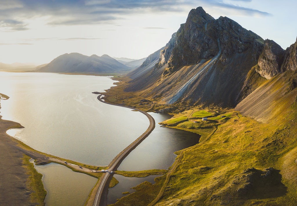 Welk dier heeft de langste tanden? | wibnet.nl