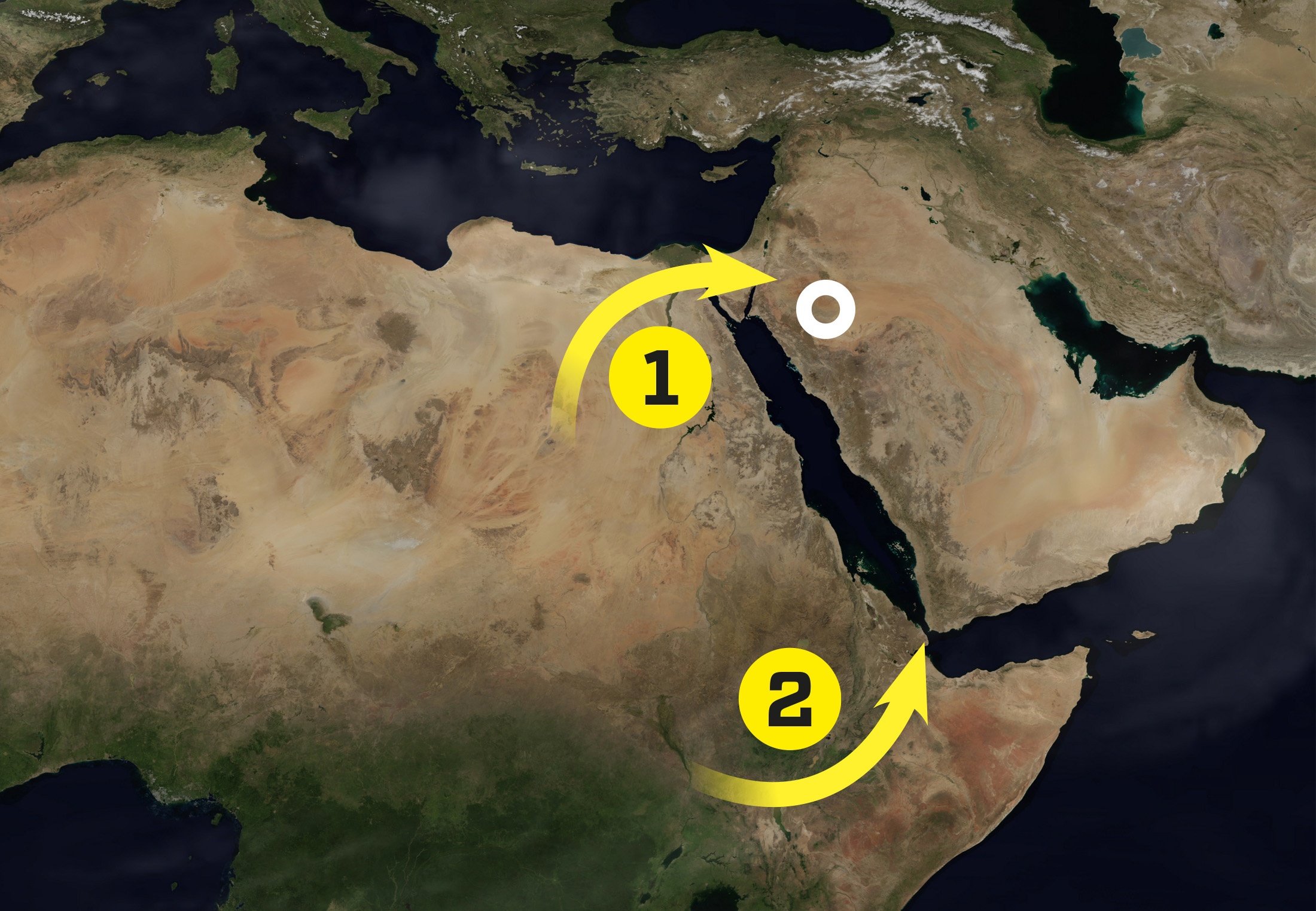 Oaser på Arabiska halvön lockade människan ur Afrika | illvet.se