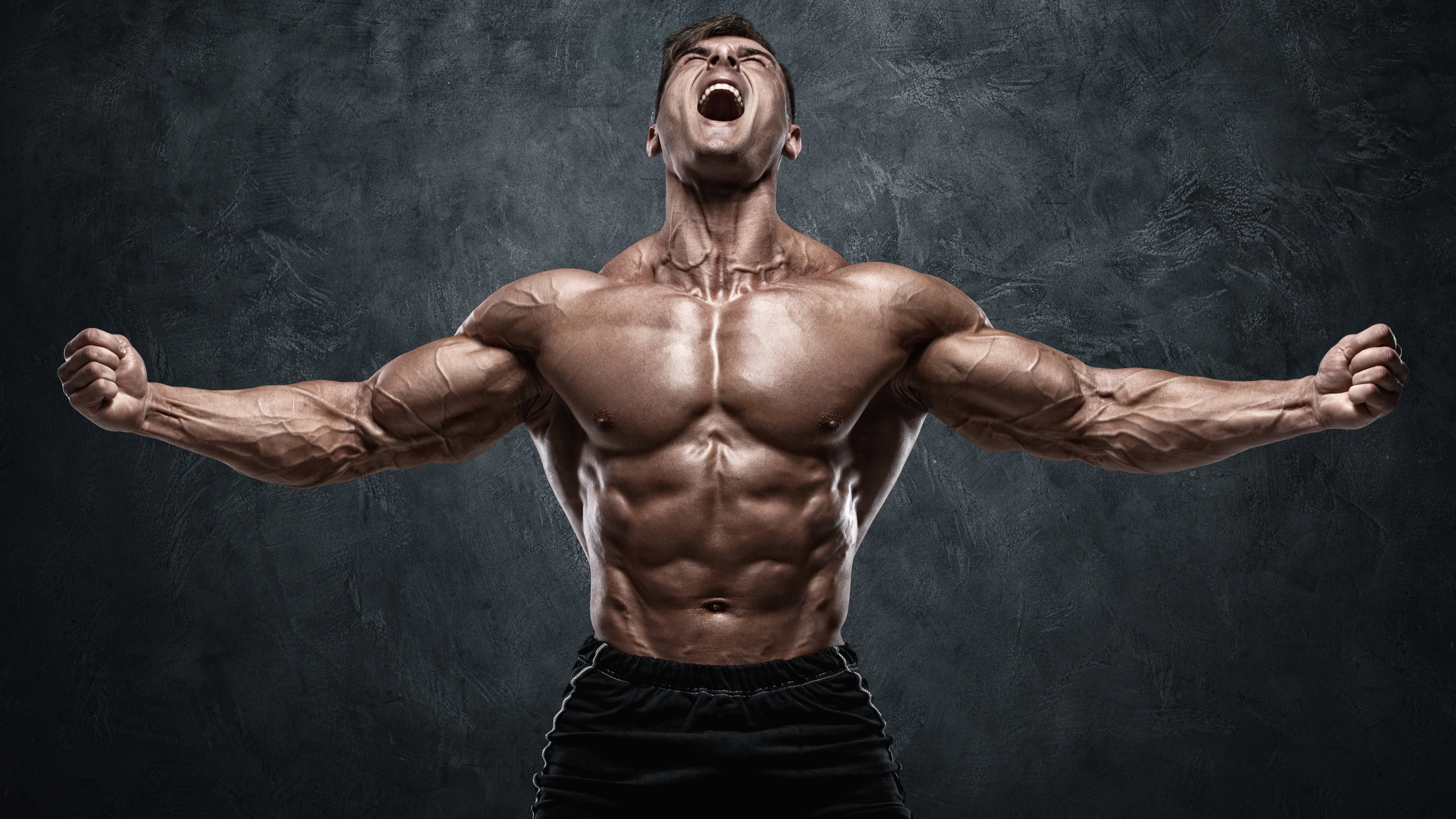 Welke Spier Is Het Sterkst