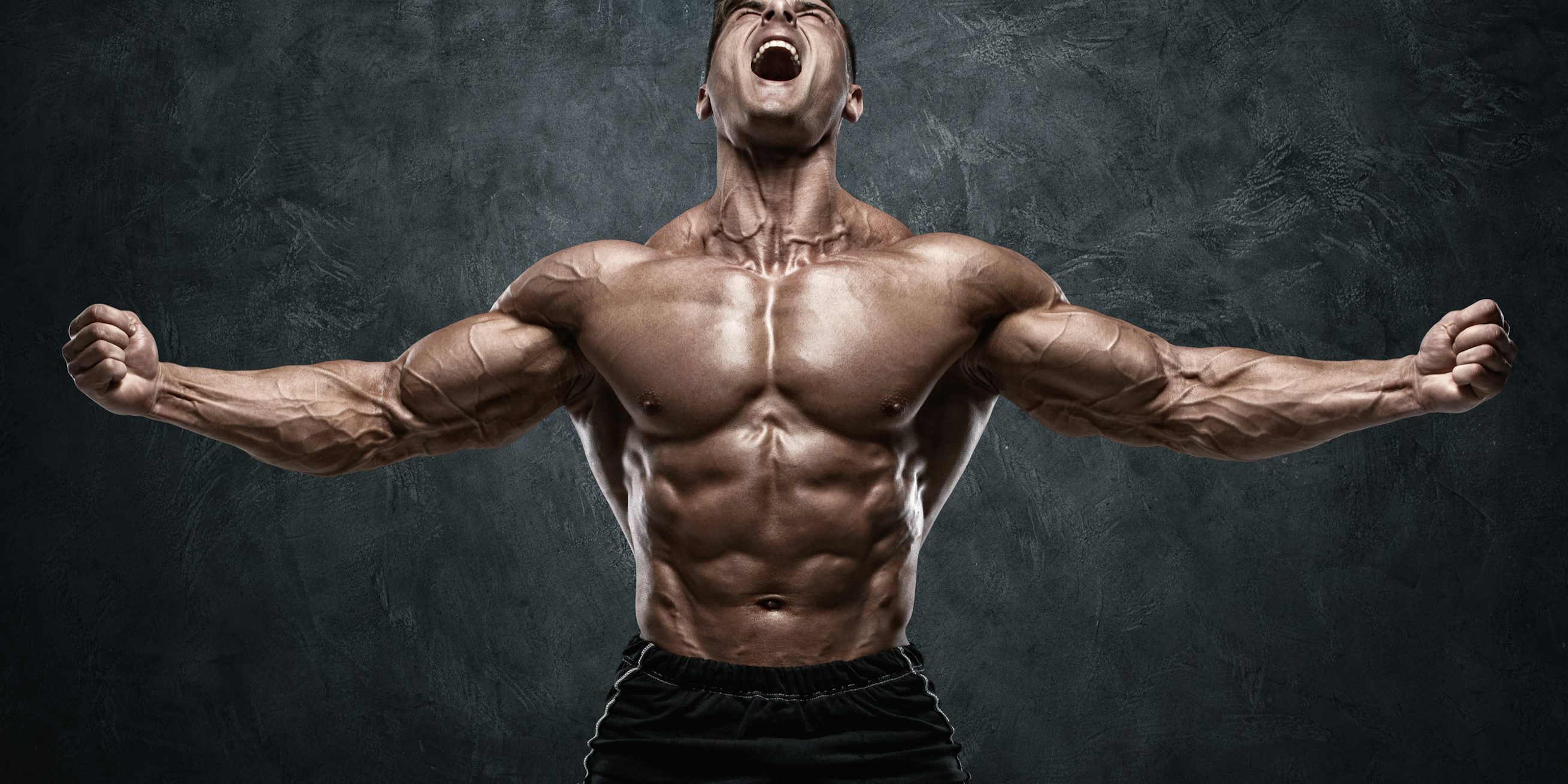 Welke Spier Is Het Sterkst