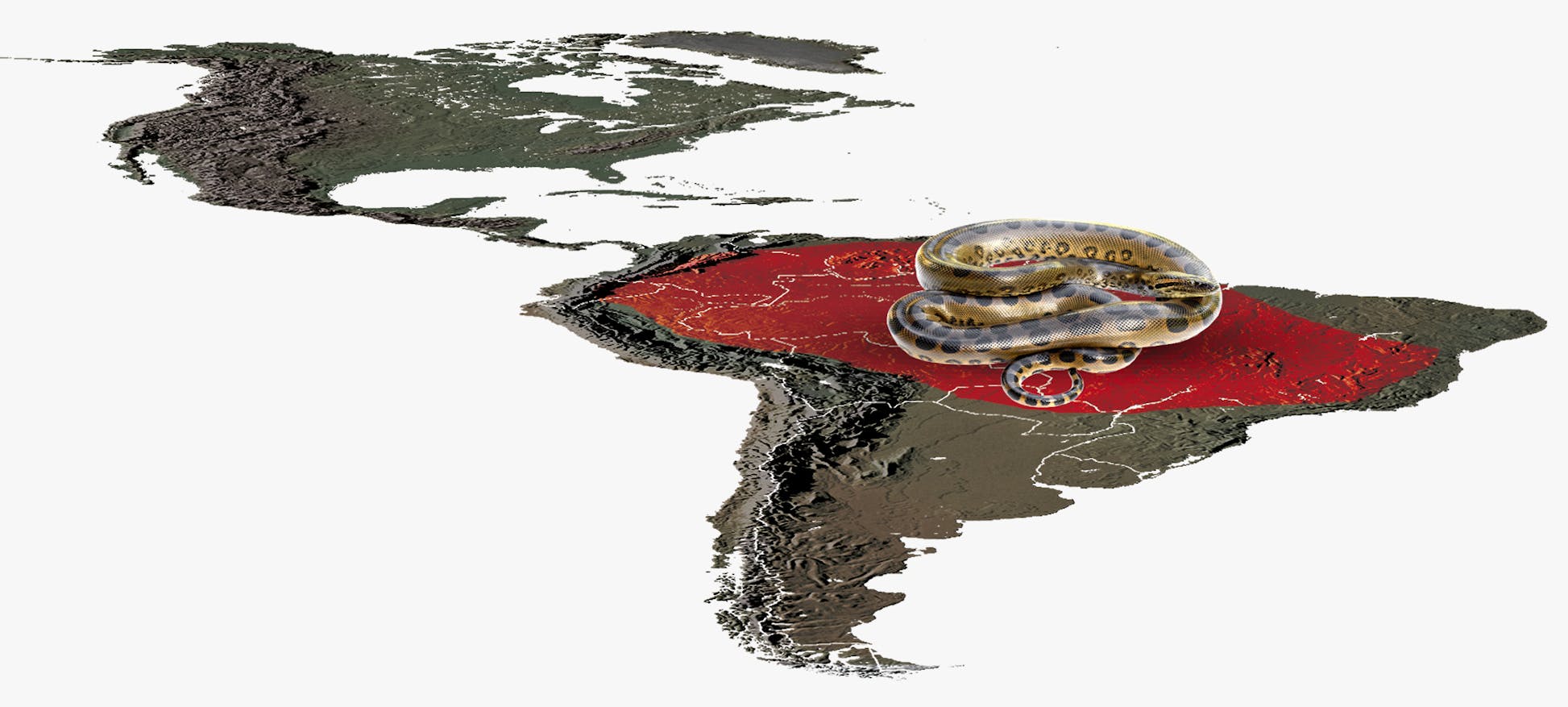 Anaconda - meet the world's biggest snake | scienceillustrated.com