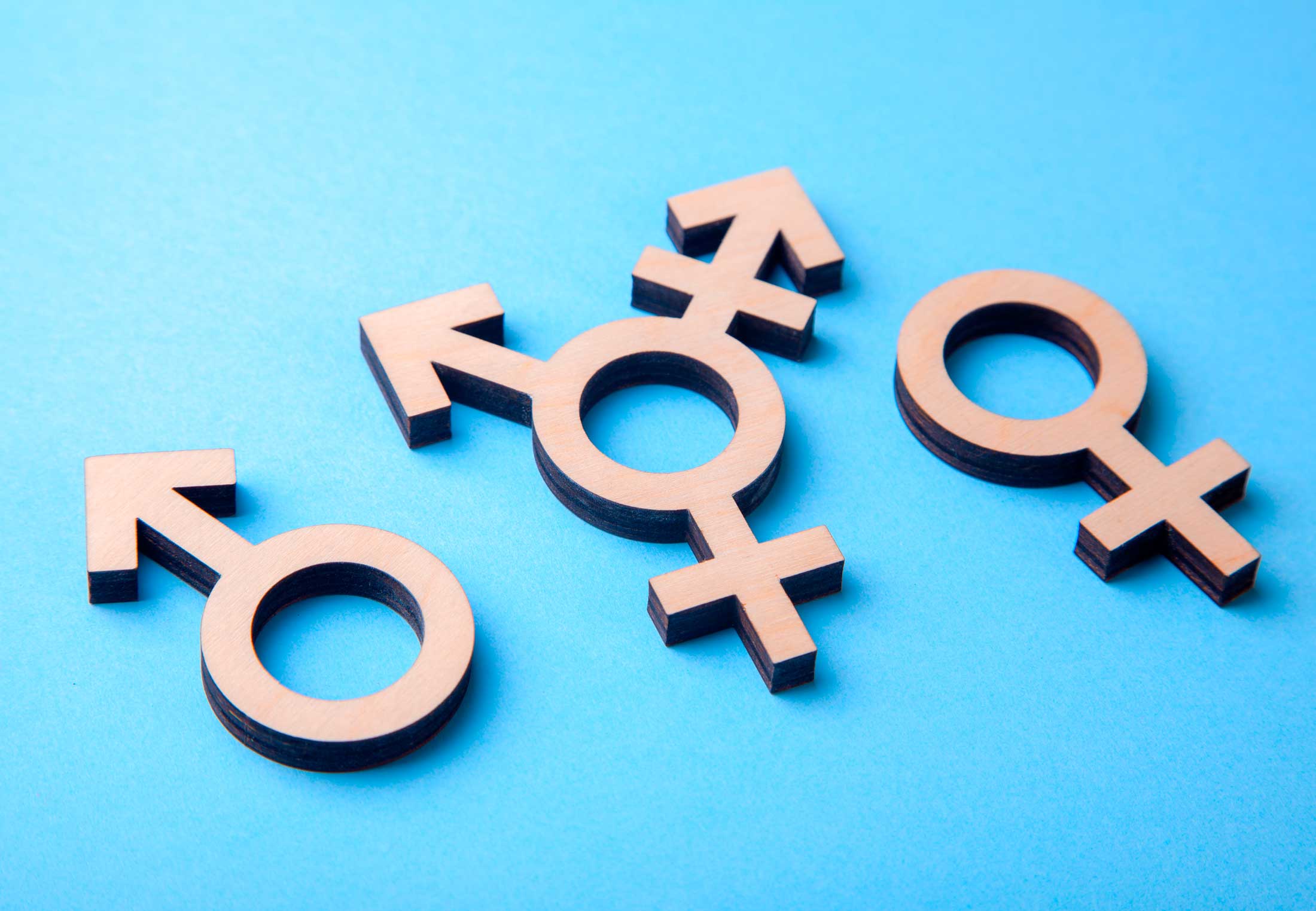 Hoeveel genders zijn er? Hier vind je een overzicht | wibnet.nl