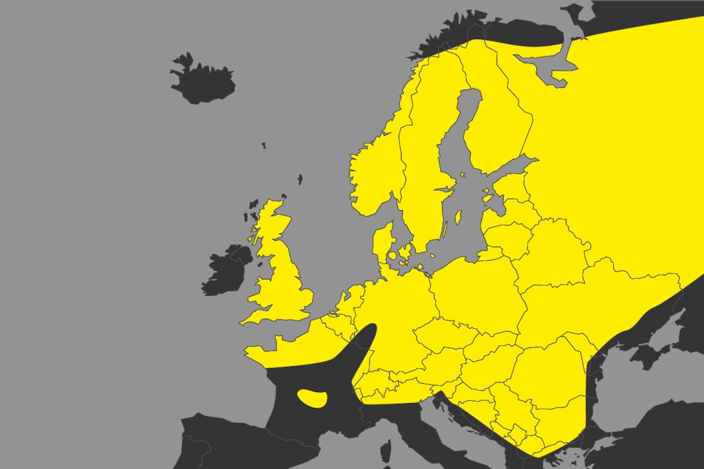 Hugorm - Mød Danmarks eneste giftige slange | illvid.dk