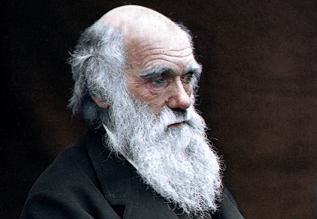 Portret van natuurvorser Charles Darwin Portret van natuurvorser Charles Darwin