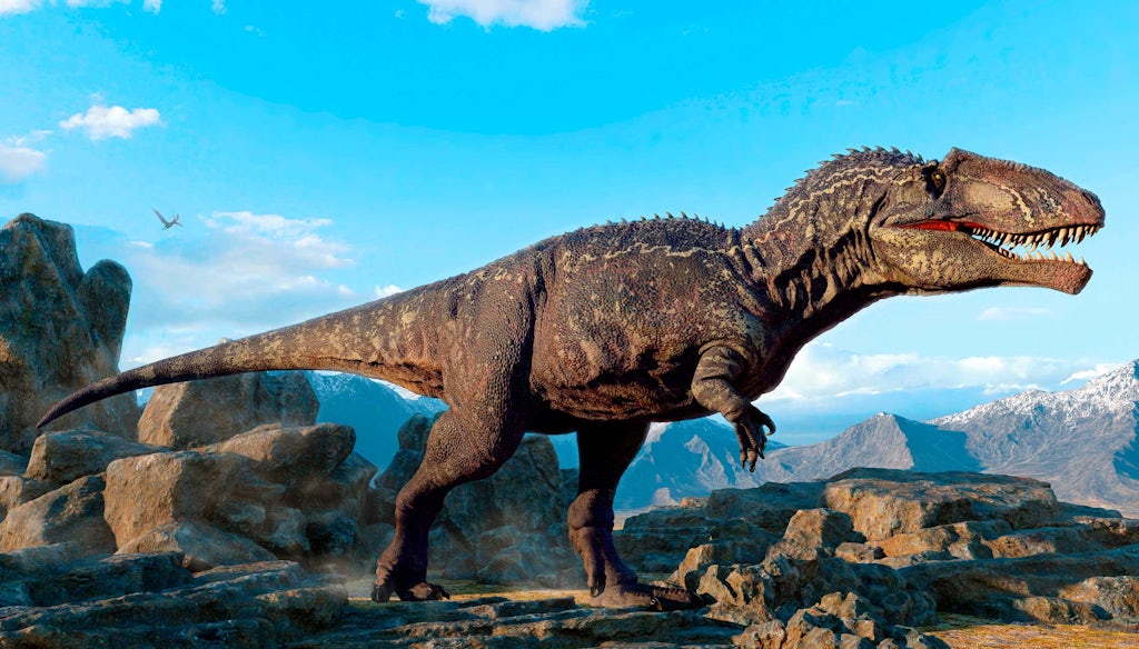 Giganotosaurus Mød monstret fra Jurassic World