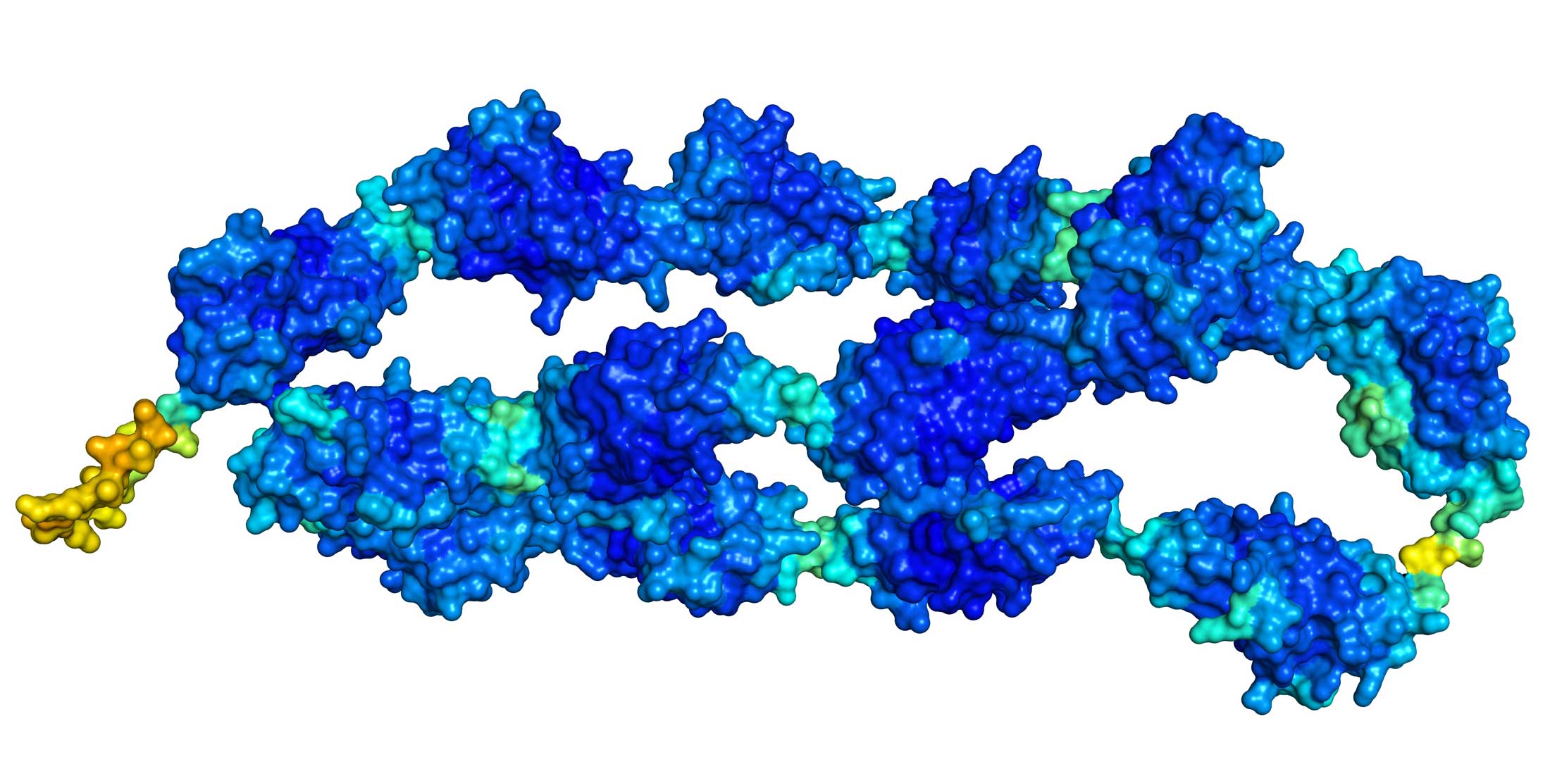 the-world-s-longest-word-scienceillustrated