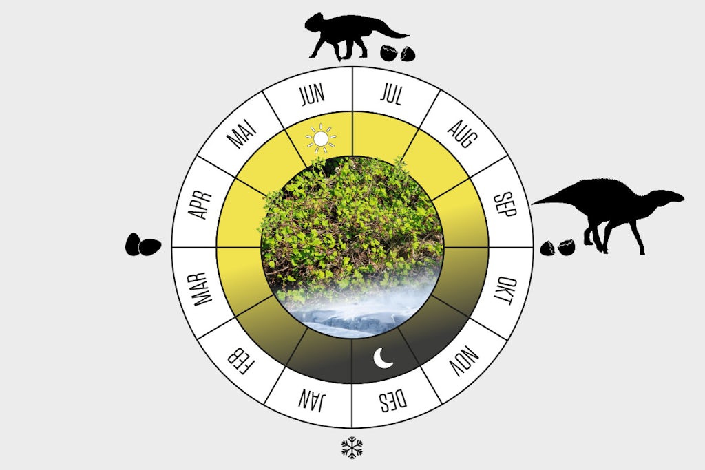 Dinosaurerne erobrede Nordpolen – kalender norsk Dinosaurerne ynglede ved Nordpolen