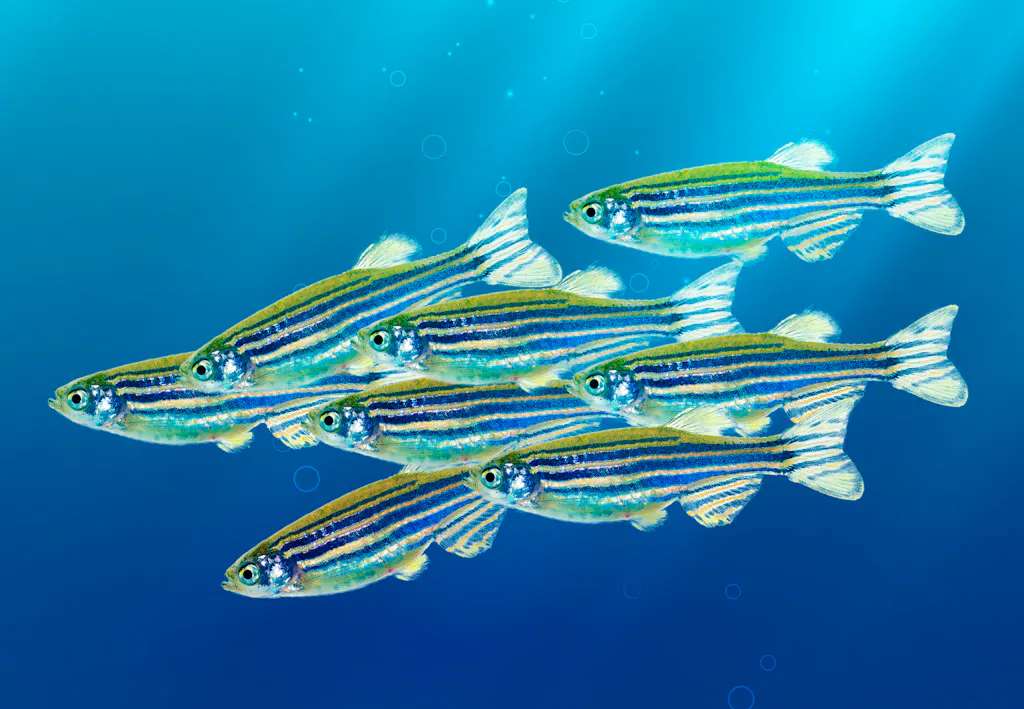 Wetenschappers systematiseren intelligentie | wibnet.nl