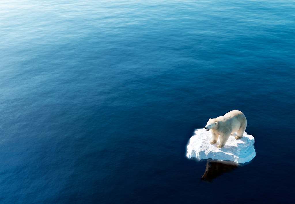 Klimaforandringer | illvid.dk