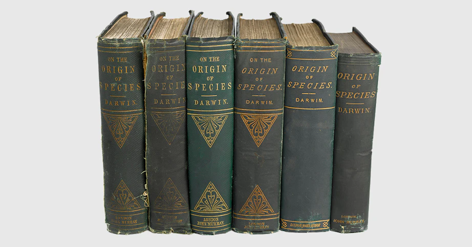 Evolution Darwin Var Den Starkaste verlevaren Illvet se evolution-darwin-var-den-starkaste-verlevaren-illvet-se