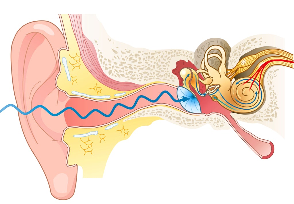 Over en milliard unge er i risiko for høretab | illvid.dk