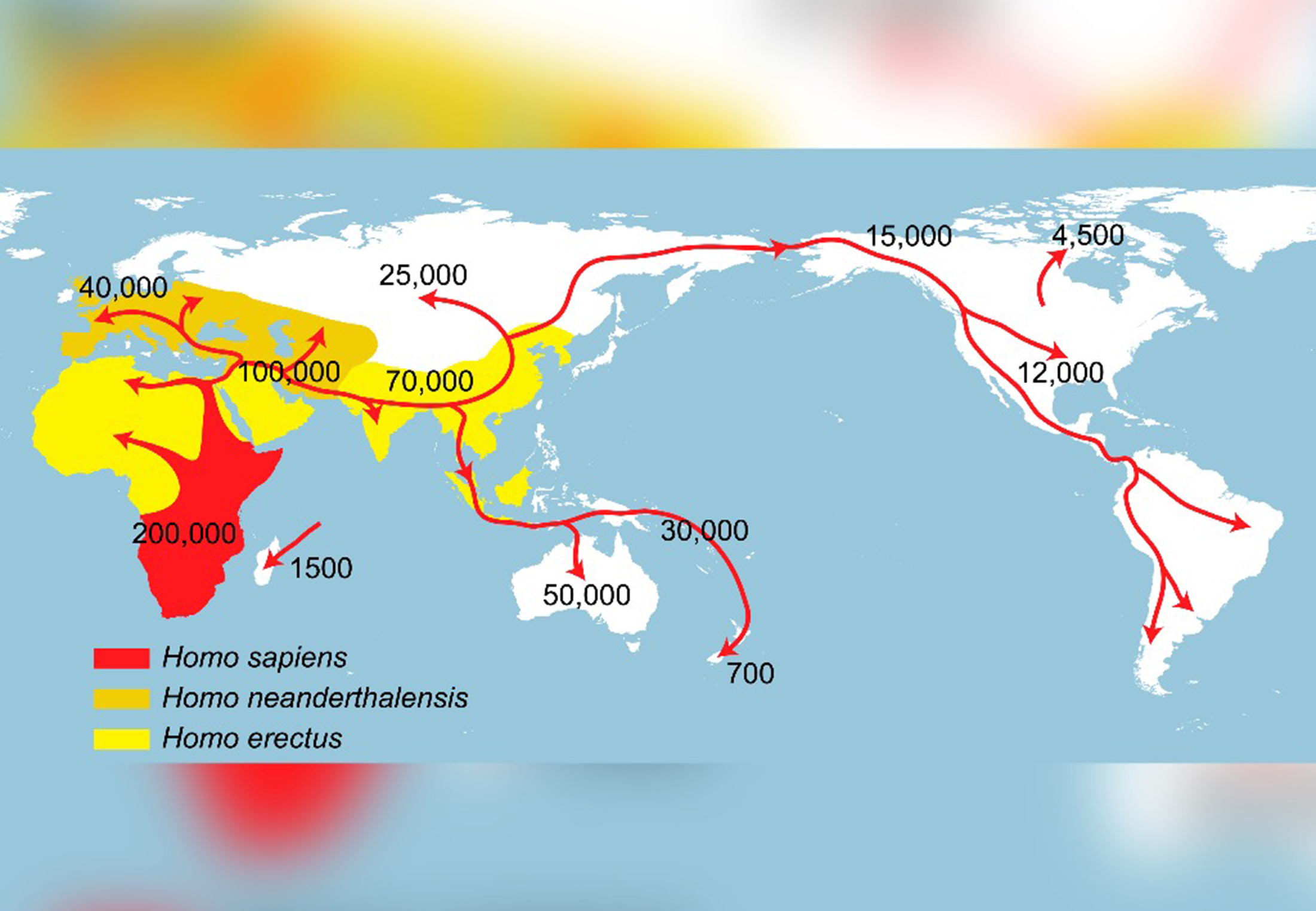 Ny studie: 300 000 år gammalt kranium matchar ingen känd människoart ...