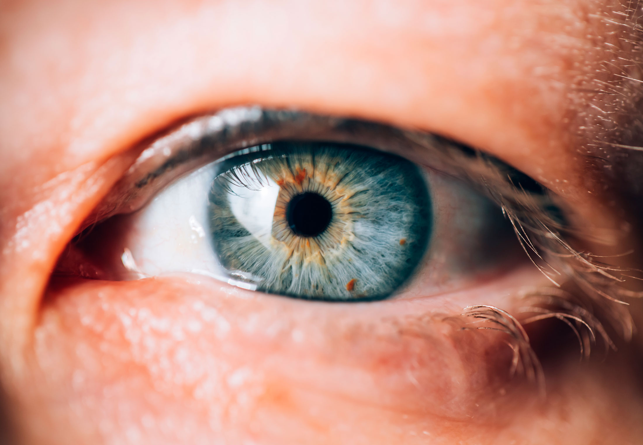 Silmä lähikuvassa