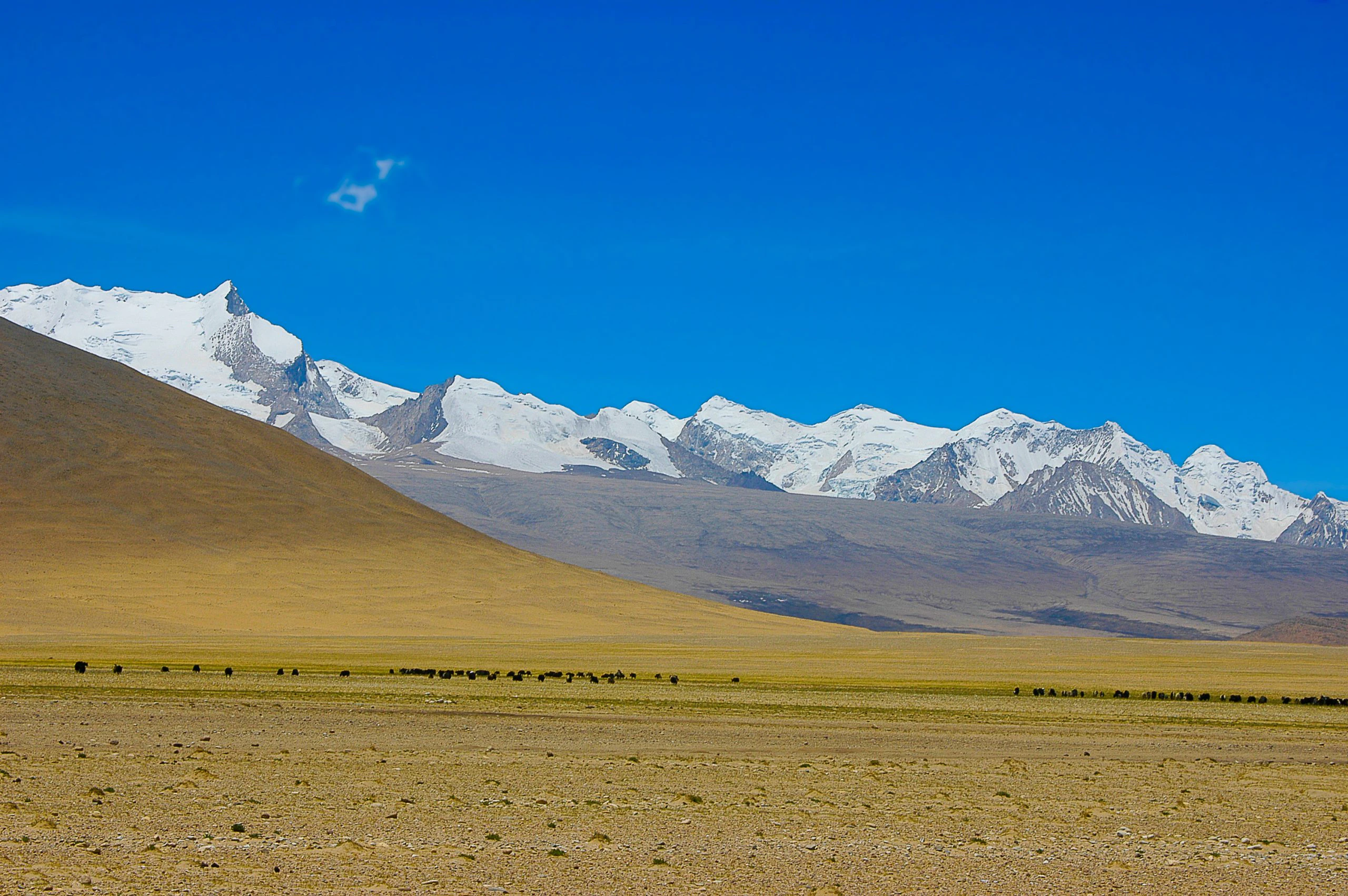 Lijst met de vijf hoogste bergen ter wereld | wibnet.nl