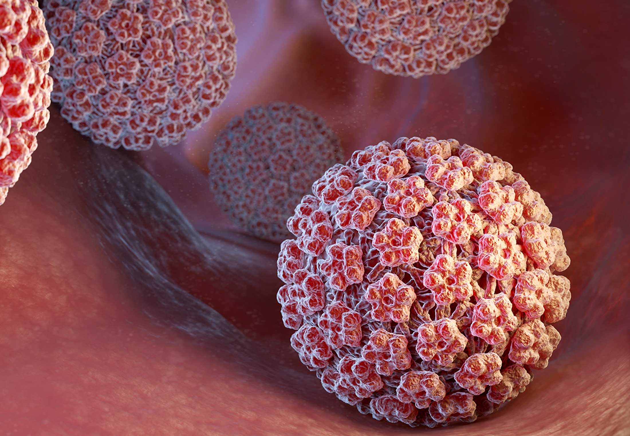 Illustratie van HPV-virus