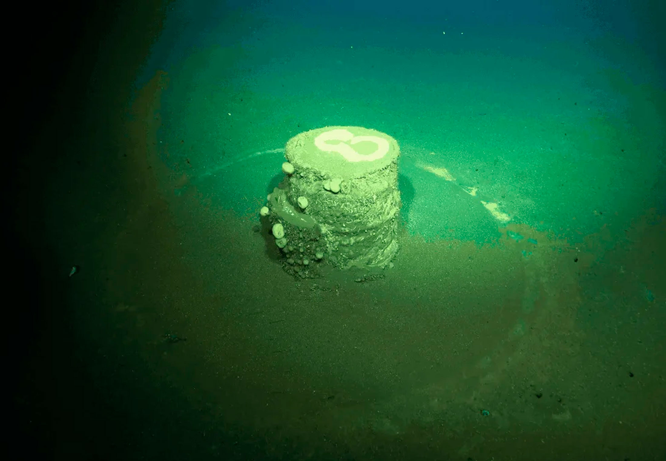 Camera captured scary rings on the ocean floor – now they turn out to ...