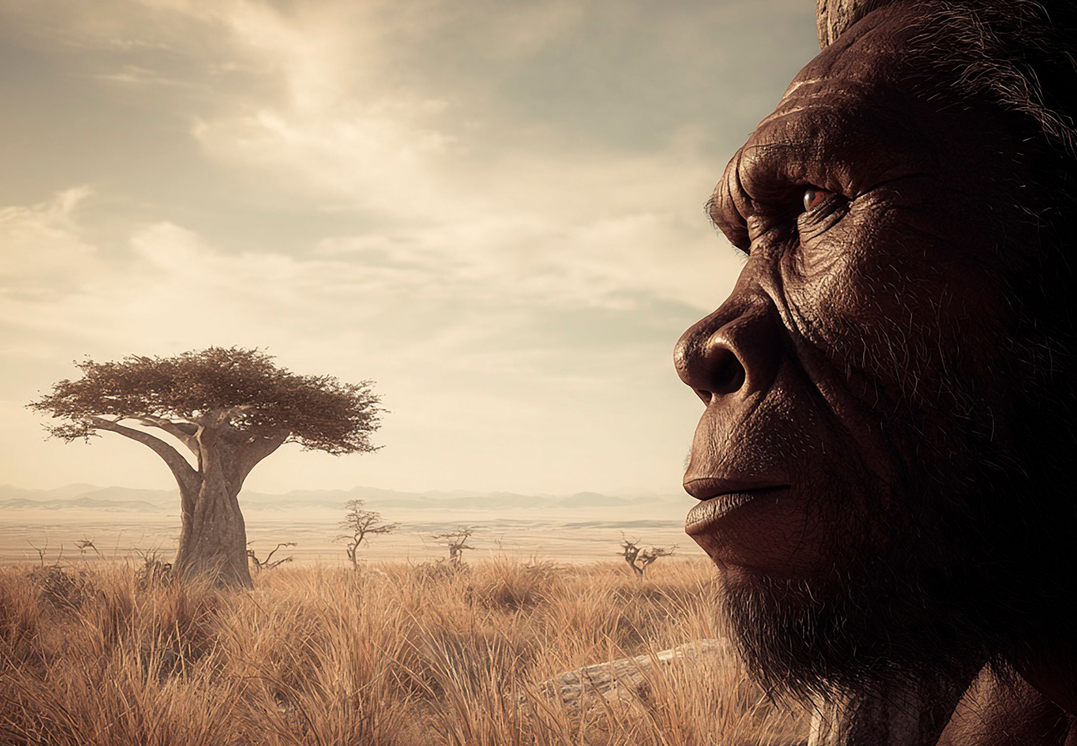 Our skeleton has had a complete makeover: four changes caused human ...