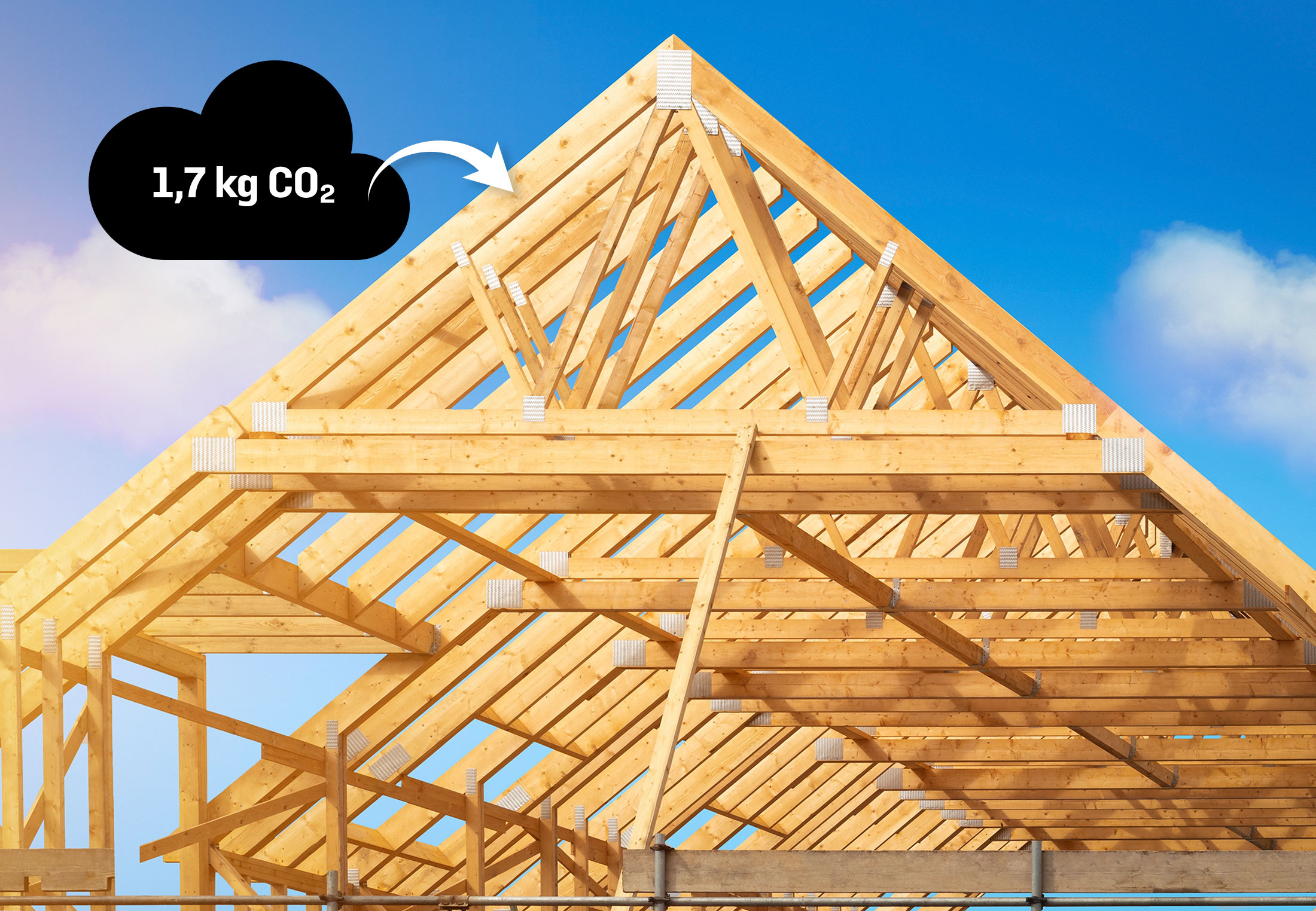 5 materialer gjør husene våre klimavennlige | illvit.no