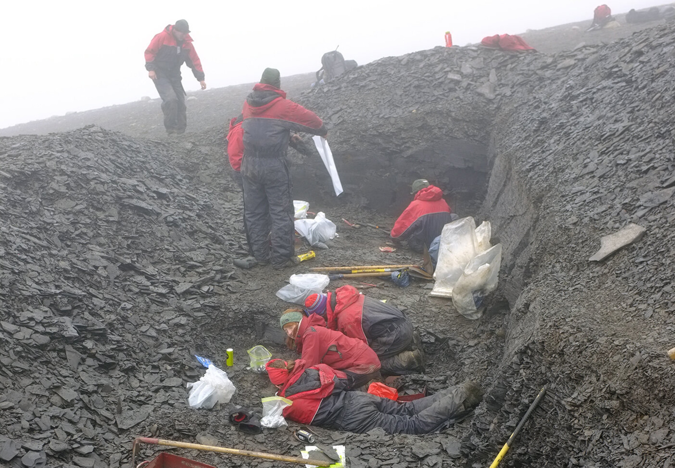 Foto van onderzoekers in een gat