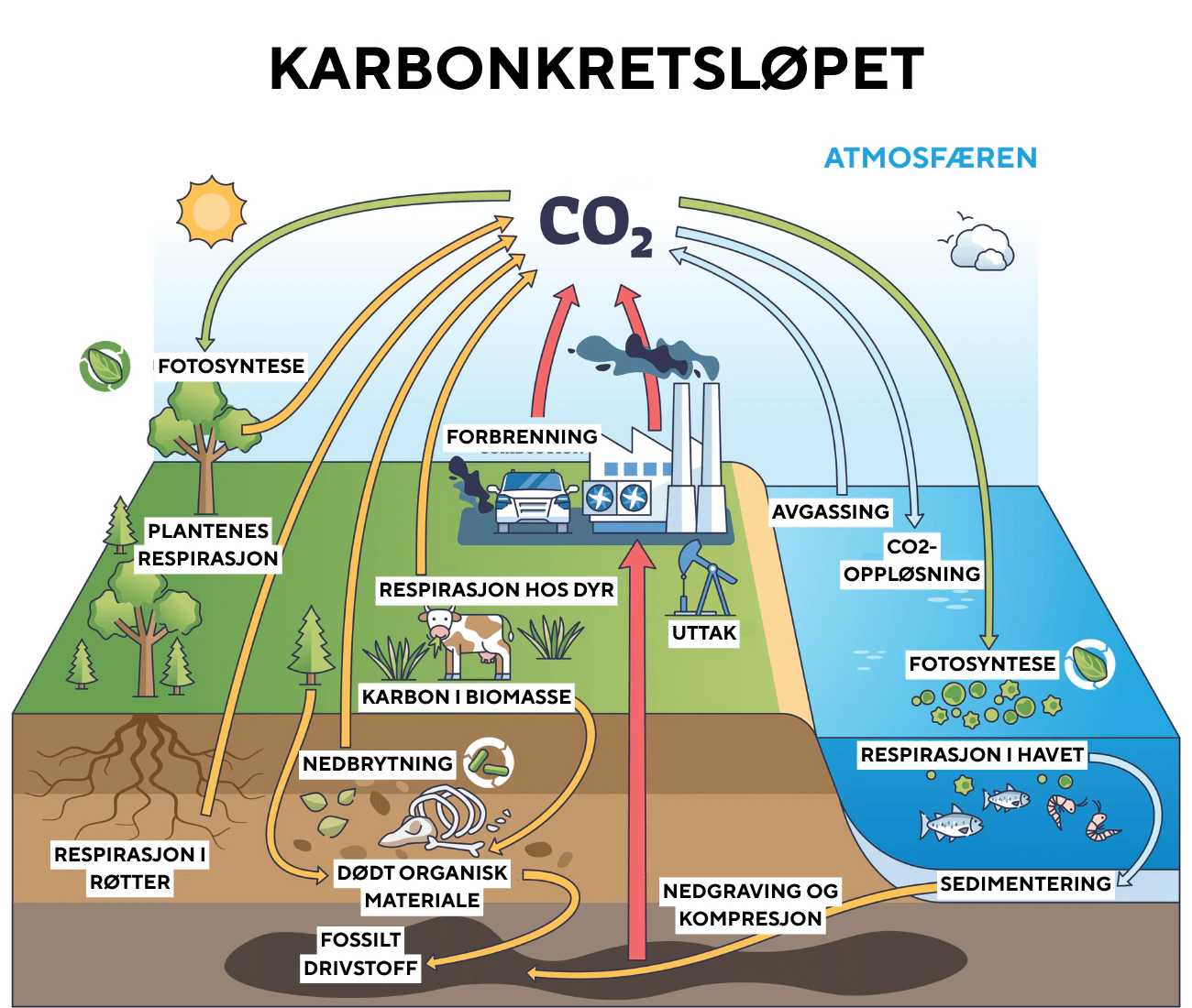 hva-er-co2-karbondioksid-illvit-no