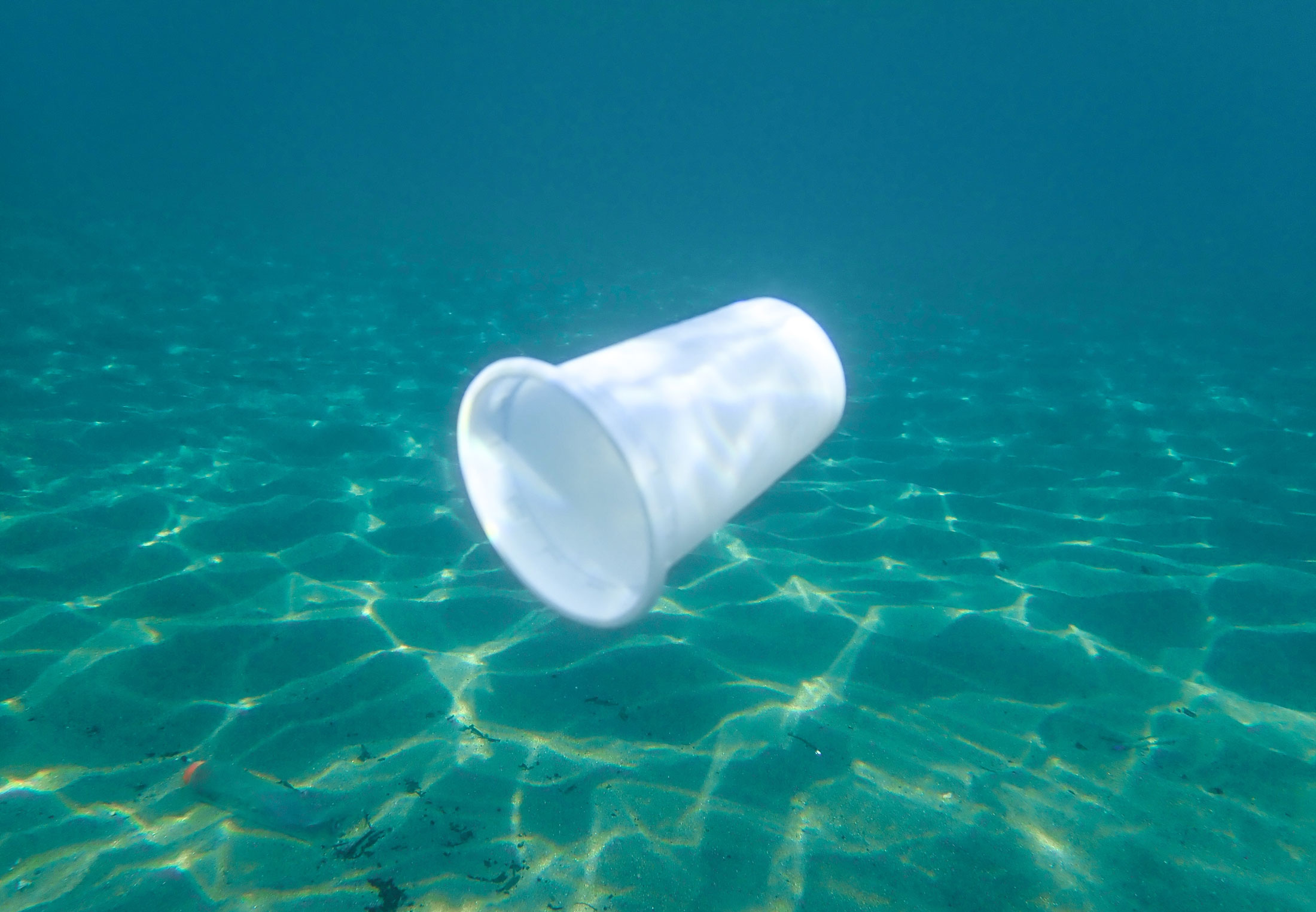 Plastic cup in water