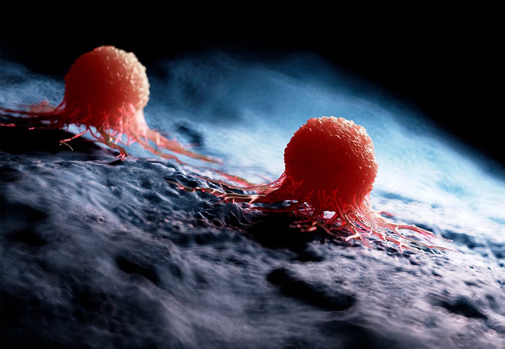 Illustration av cancerceller