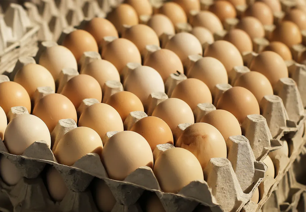 Elke week eieren eten kan het risico op vroegtijdig overlijden