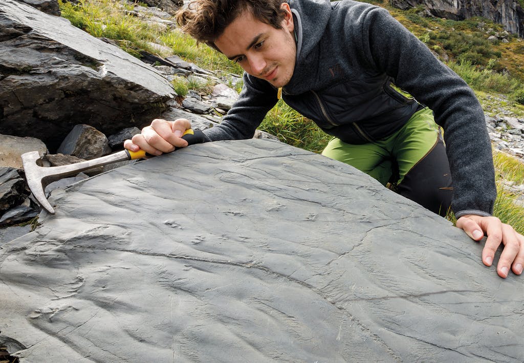 Hikers found rocks with major evidence of the past | scienceillustrated.com