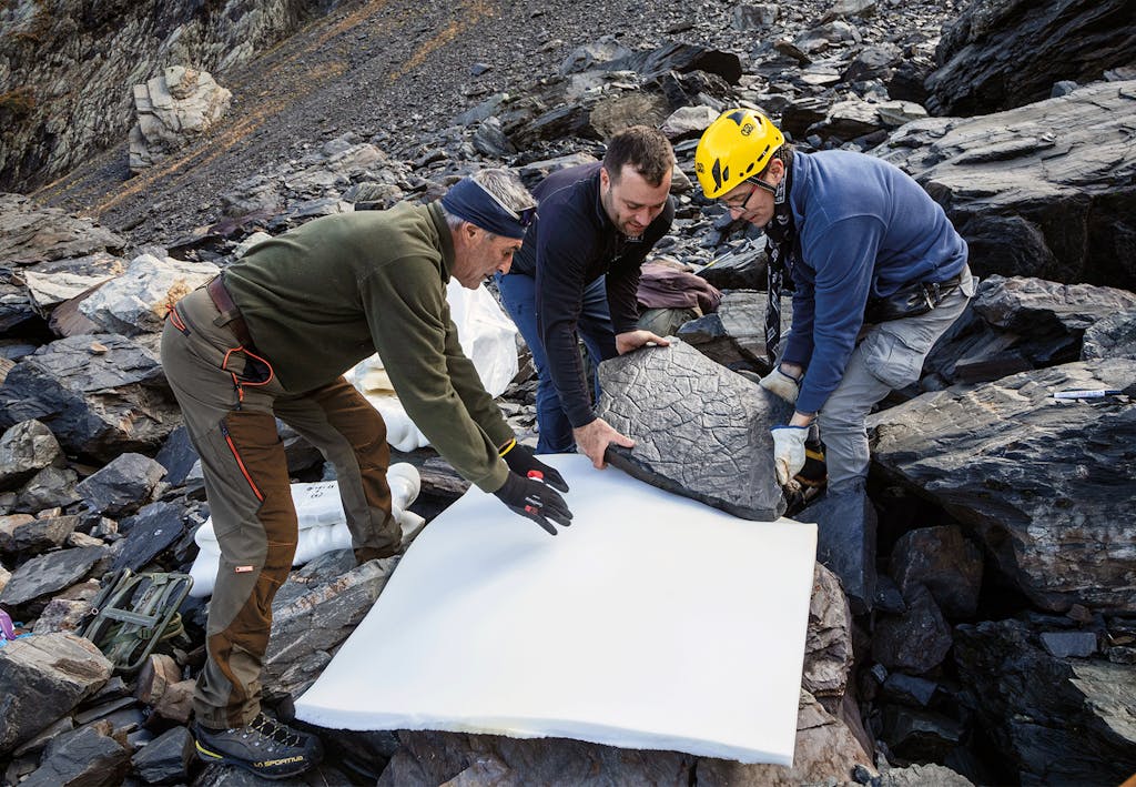 Hikers found rocks with major evidence of the past | scienceillustrated.com