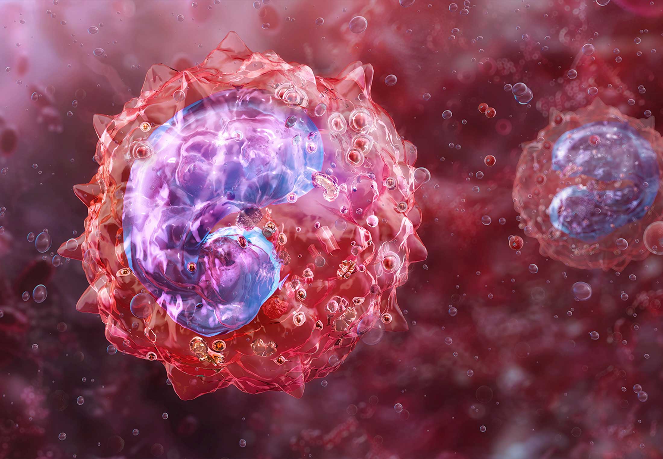 Een nacht zonder slaap verslechtert je immuunsysteem | wibnet.nl