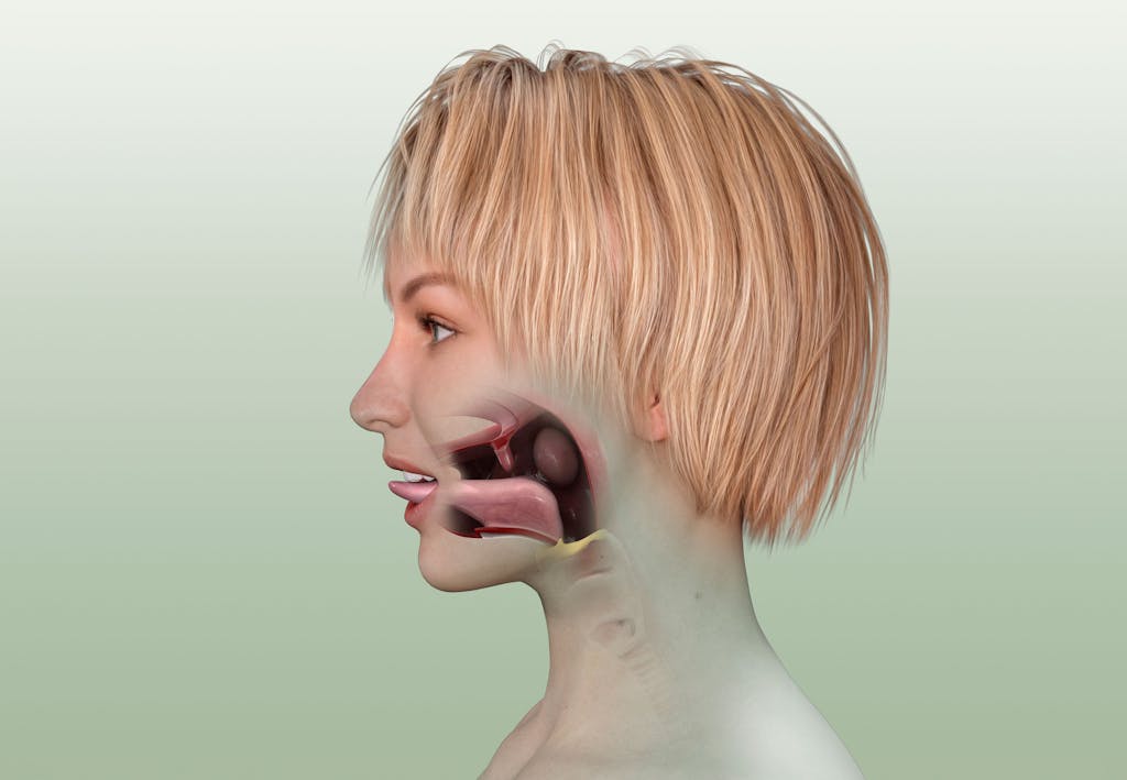 The removal of tonsils and adenoids could increase the risk of stress ...