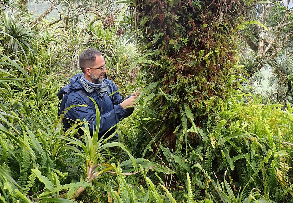 Forskare studerar växt.
