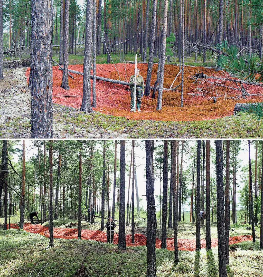 Verdens ældst kendte: 8000 år gammel fæstning opdaget i Sibirien ...