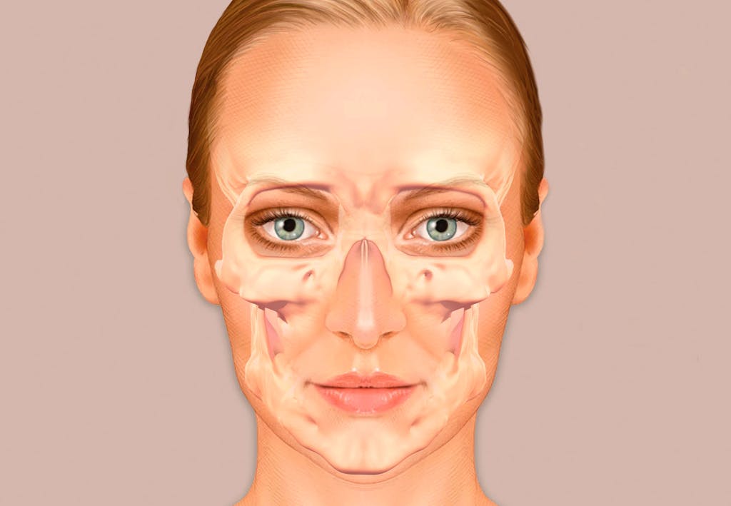 Science Illustrated - explore the world of science | scienceillustrated.com