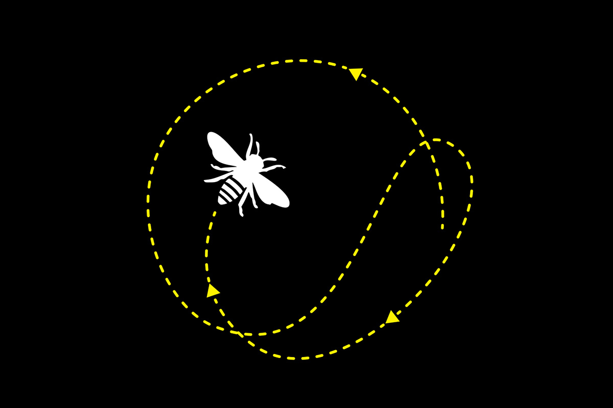 How do animals find their way? | scienceillustrated.com