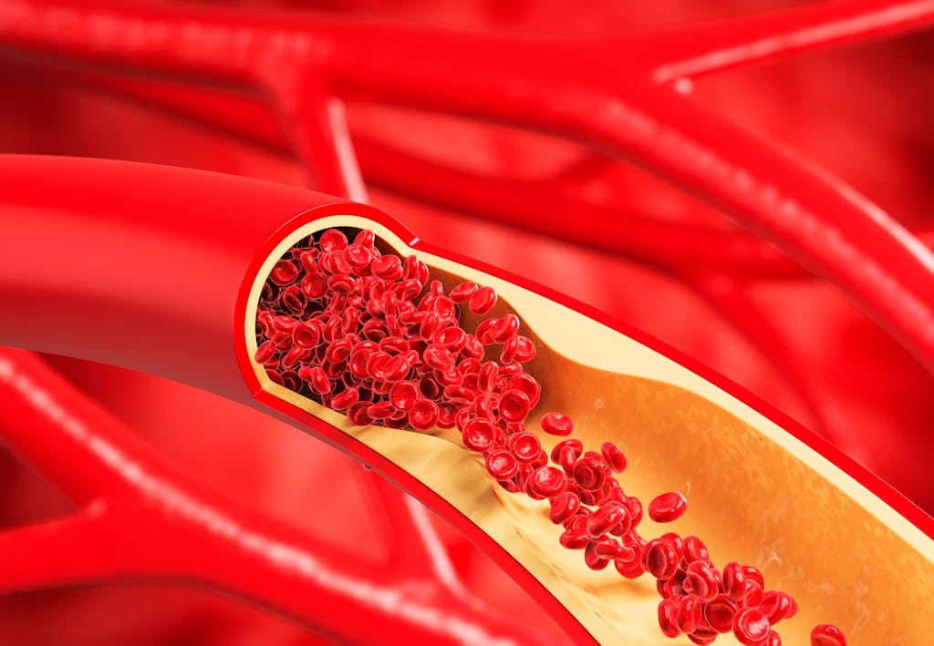 Illustration av blodkärl med blodgenomströmning.
