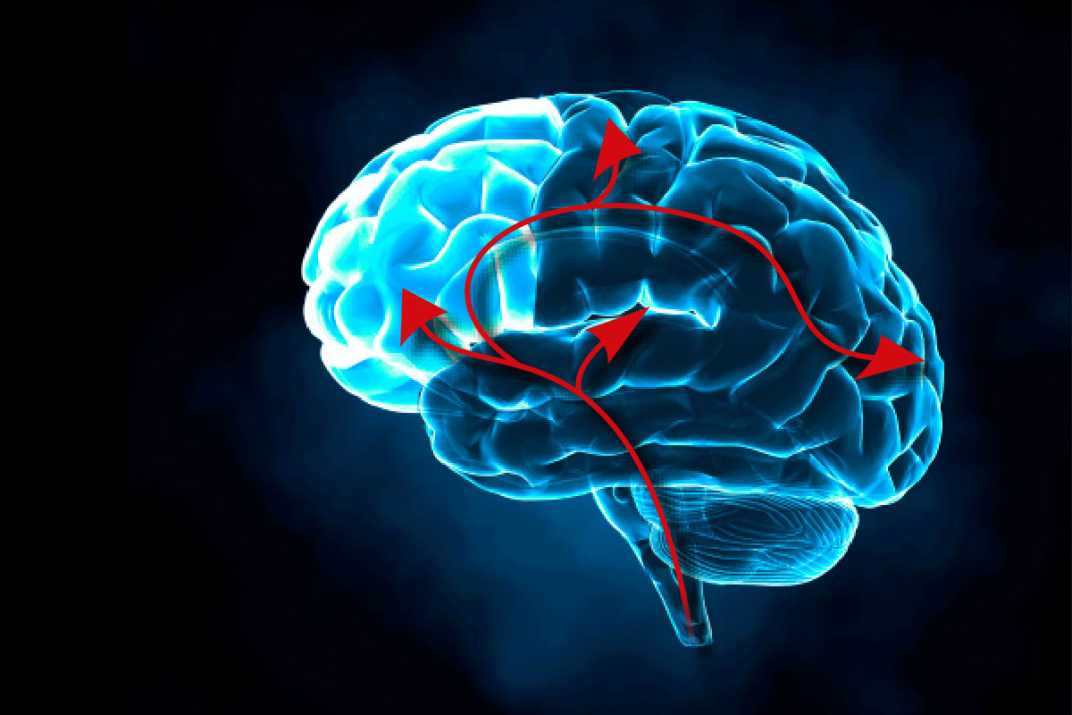 Overmatige trek in koolhydraatrijk voedsel zoals snoep kan komen door